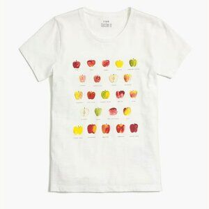 J Crew Factory Collector Tee Shirt Women XXL Ivory Apples Fall Farmer Market